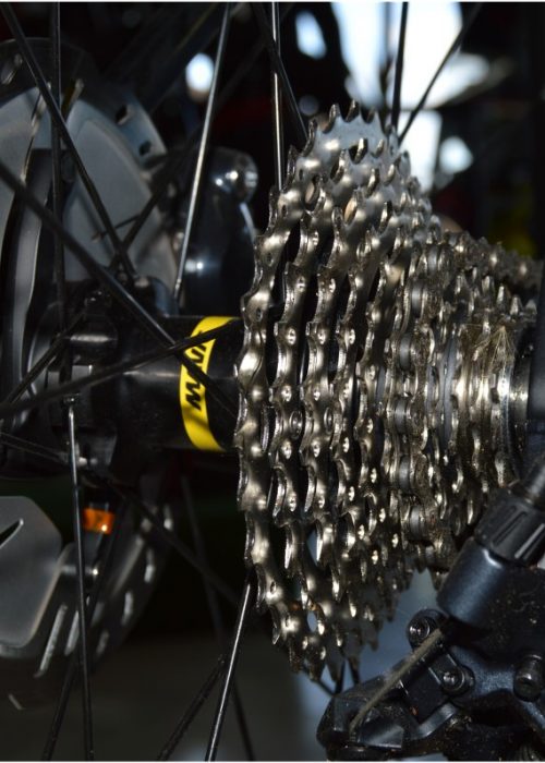 pignon-velo-cassette-cycles-philippe pignon-velo-cassette-cycles-philippe